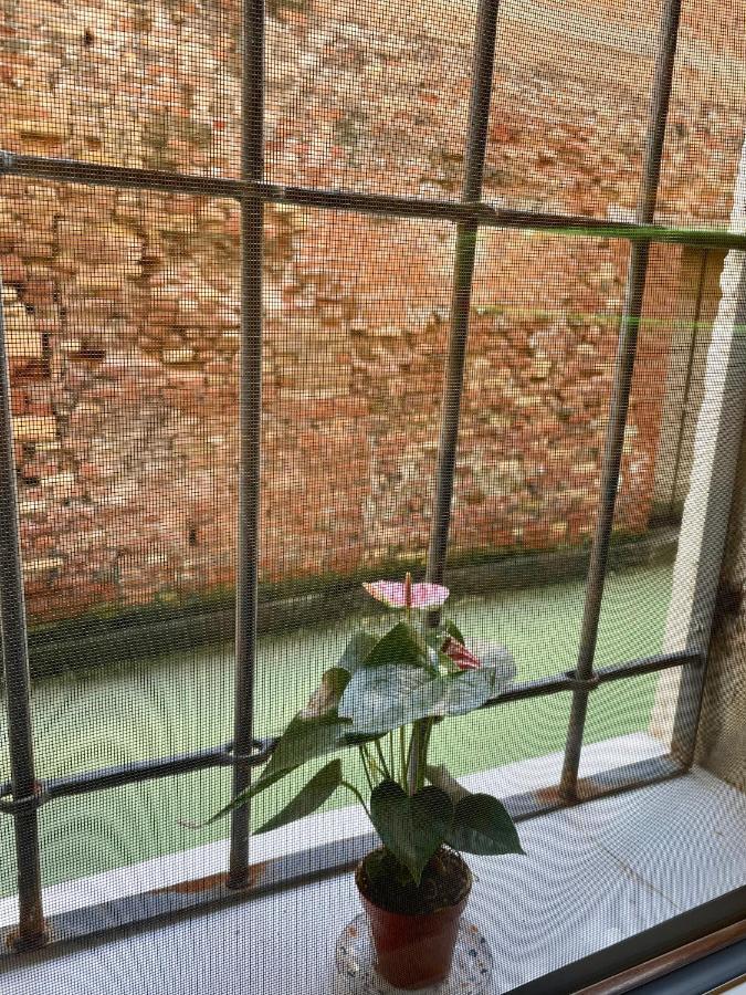 Hayez Rooms Venezia Eksteriør bilde